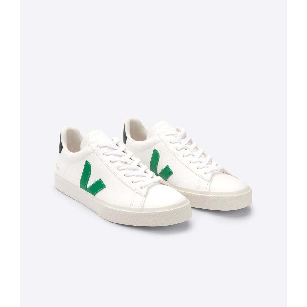 Low Tops Sneakers Dama Veja CAMPO CHROMEFREE White/Green | RO 596GSO